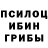 Псилоцибиновые грибы прущие грибы Yan Somov