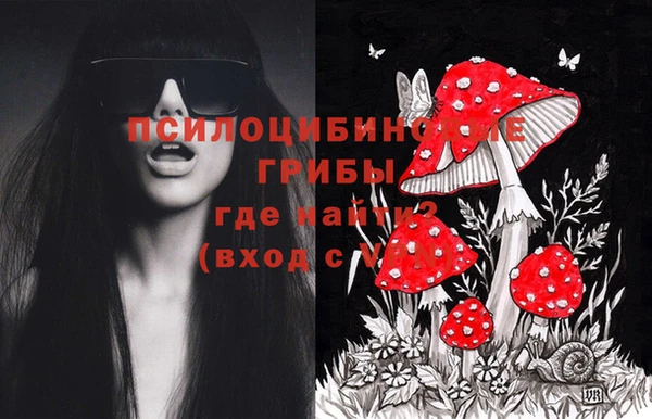 каннабис Покачи