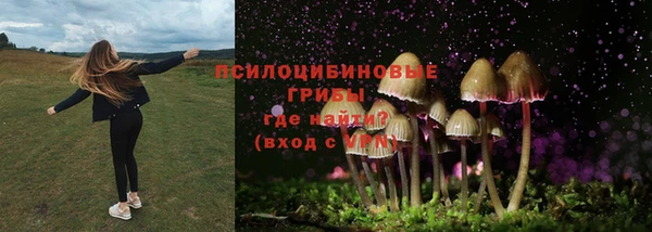 каннабис Покачи