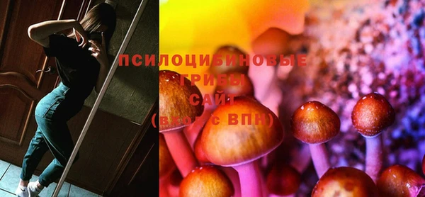 ПСИЛОЦИБИНОВЫЕ ГРИБЫ Покров