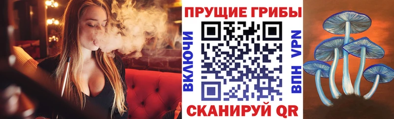 kraken   Аткарск  Псилоцибиновые грибы ЛСД 